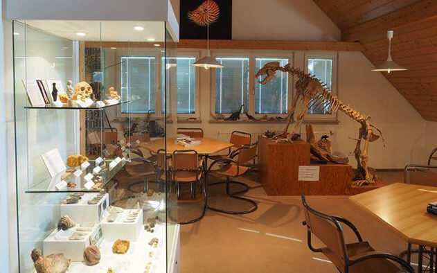 bild_museum_zeitzeugen